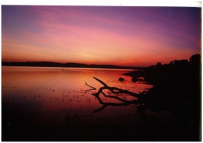 Lake sun set - resized