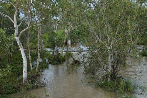 The rivers flow in the wet jpg