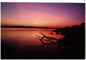Lake sun set