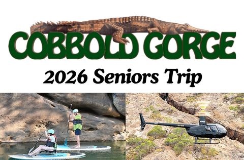 seniorstrip_Thumbnail.jpg